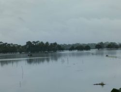 Air Sungai Citanduy Meluap & Terus Diguyur Hujan, 300 Hektare Sawah di Pangandaran Terendam Banjir