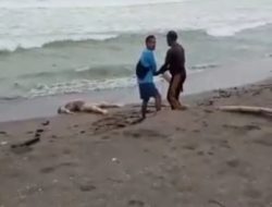 Innalilahi, Kembali Lagi Warga di Pangandaran Digegerkan dengan Penemuan Mayat Laki-laki Tanpa Busana
