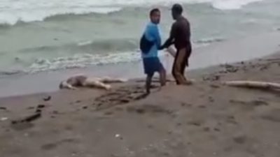 Innalilahi, Kembali Lagi Warga di Pangandaran Digegerkan dengan Penemuan Mayat Laki-laki Tanpa Busana