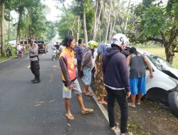 Disalip Bus, Mobil Avanza Berpenumpang 8 di Pangandaran Oleng dan Menghantam Pohon Mahoni