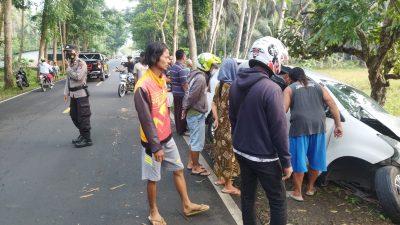 Disalip Bus, Mobil Avanza Berpenumpang 8 di Pangandaran Oleng dan Menghantam Pohon Mahoni