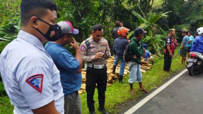 Diduga Hilang Kendali, Truk Bermuatan Kayu di Pangandaran Terperosok ke Jurang