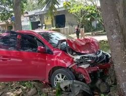 Honda Brio Tabrak Pohon di Pinggir Jalan Raya Nasional Pangandaran, Begini Kondisi Sopir dan Mobilnya