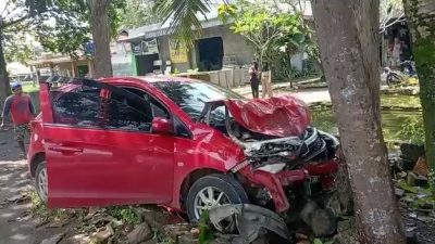 Honda Brio Tabrak Pohon di Pinggir Jalan Raya Nasional Pangandaran, Begini Kondisi Sopir dan Mobilnya