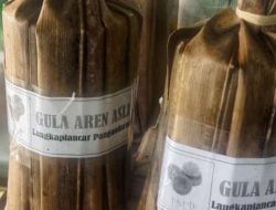 Inilah Alasan Gula Aren di Langkaplancar Pangandaran Berkurang