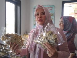 Petani Inspiratif di Pangandaran Bisa Mengolah Daun Anggur Jadi Makanan Nilai Jual Tinggi