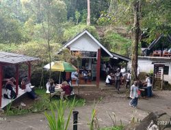 Berwisata ke Pangandaran, Jangan Lupa Menikmati Nasi Liwet Citumang
