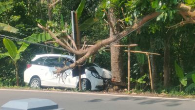 Sopir Ngantuk, Minibus di Pangandaran Tabrak Pohon Mahoni