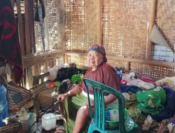 Miris! Nenek Rasih di Ciamis Hidup Sebatang Kara