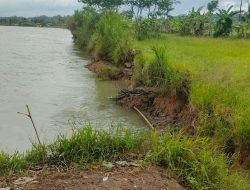 Tanggul Sungai Citanduy di Pangandaran Habis Tergerus