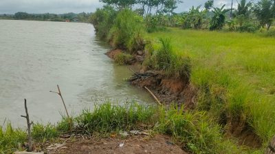 Tanggul Sungai Citanduy di Pangandaran Habis Tergerus