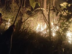 Innalilahi, Hutan di Pangandaran Mengalami Kebakaran Hebat