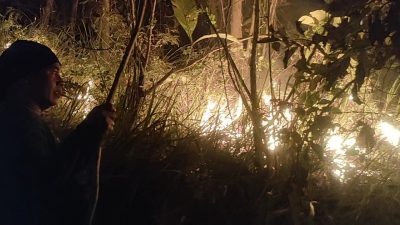 Innalilahi, Hutan di Pangandaran Mengalami Kebakaran Hebat