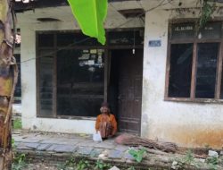 Miris, Nenek Berusia 92 Tahun di Pangandaran Tinggal di Rumah Reyod