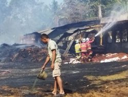 Pabrik Cocopeat di Pangandaran Kebakaran, Pemilik Rugi Rp 1 Miliar