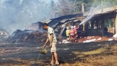 Pabrik Cocopeat di Pangandaran Kebakaran, Pemilik Rugi Rp 1 Miliar