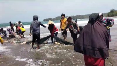 Ramai, Nelayan di Pangandaran Panen Ikan Kakap Merah