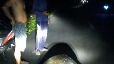 Penyu Hijau Raksasa di Legokjawa Pangandaran Terdampar