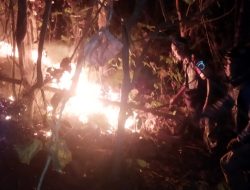 Innalilahi, Lahan di Pelikan Pangandaran Kebakaran