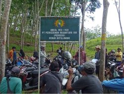 64 Tahun, Perusahaan Karet di Ciamis Diduga Serobot Lahan Masyarakat