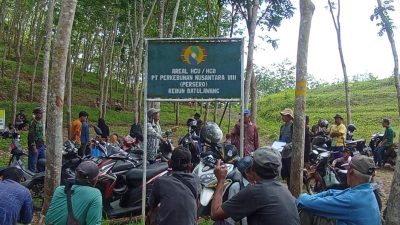 64 Tahun, Perusahaan Karet di Ciamis Diduga Serobot Lahan Masyarakat