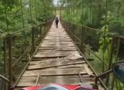 Cerita Abdul di Pangandaran Melewati Jembatan Gantung Beralaskan Kayu yang Rusak