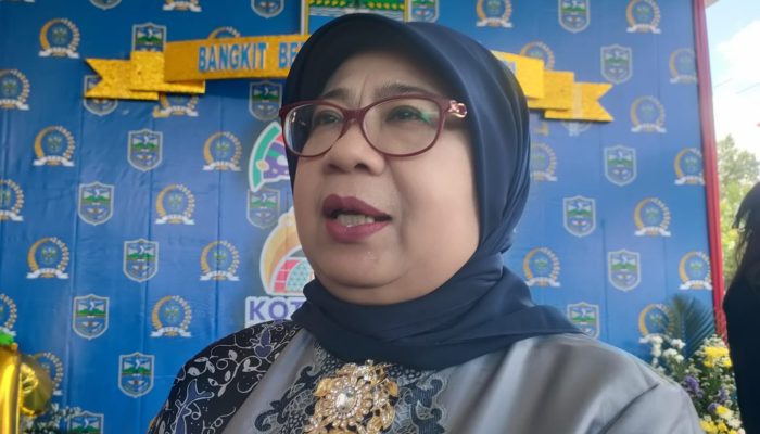 Harga Beras Mahal! Pj Wali Kota Banjar Minta Masyarakat Berbelanja Sesuai Kebutuhan