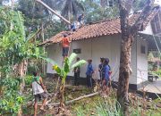 Babinsa di Pangandaran Sigap Bantu Evakuasi Rumah Tertimpa Pohon