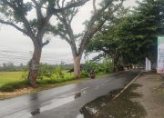 Pengguna Jalan atau Pemudik di Pangandaran Harus Hati-hati, Ini Alasannya