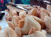 Jelang Lebaran, Harga Daging Ayam di Pangandaran Melonjak Tinggi