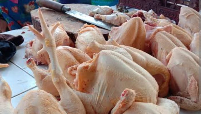 Jelang Lebaran, Harga Daging Ayam di Pangandaran Melonjak Tinggi