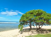 Keindahan dan Fasilitas Pantai Karapyak Pangandaran