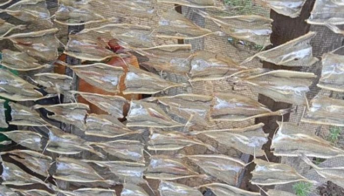 Melirik Ikan Asin Jambal Roti Khas Pangandaran