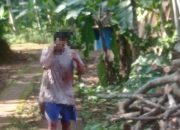 Diduga Usahanya Bangkrut, Pria di Ciamis Tega Mutilasi Istrinya