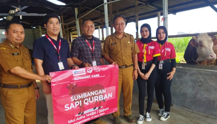 Idul Adha Tahun Ini, Alfamart Sumbangkan Sapi Kurban untuk Masyarakat Pangandaran