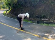 Polantas di Pangandaran Singkirkan Ceceran Pasir di Jalan, Gegara Muatan Over Load!