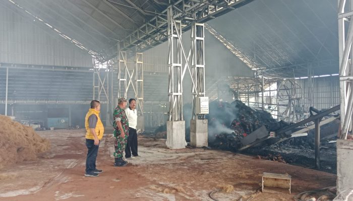 Kebakaran di Pangandaran, Pabrik Tapas Milik Seto Dilahap Api