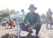HUT TNI, Kodim 0625/Pangandaran Serentak Tanam Pohon Mangrove