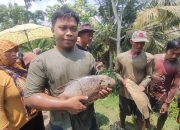 Kebahagiaan Danang di Pangandaran Seusai Dapat Ikan Besar dan Hadiah
