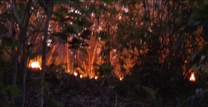 Diduga Bakar Sampah, Kebun Milik Warga di Padaherang Pangandaran Kebakaran 