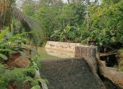 Musim Hujan, Petani di Ciganjeng Pangandaran Khawatir Irigasi Jebol