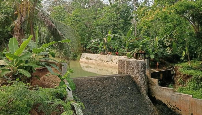 Musim Hujan, Petani di Ciganjeng Pangandaran Khawatir Irigasi Jebol