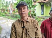 Terdampak Banjir, Ratusan Hektare Sawah di Maruyusari Pangandaran Gagal Tanam