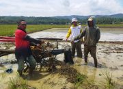 Apes! Dua Mesin Traktor di Tunggilis Pangandaran Hilang Diduga Dicuri