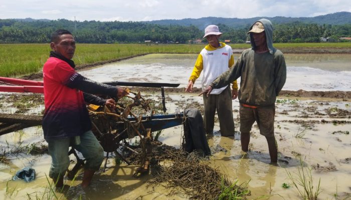 Apes! Dua Mesin Traktor di Tunggilis Pangandaran Hilang Diduga Dicuri