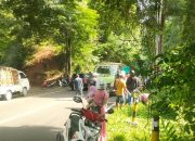 Gegara Anak Kucing, Pemotor di Pangandaran Alami Laka Tunggal