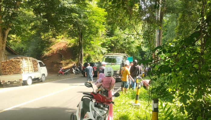 Gegara Anak Kucing, Pemotor di Pangandaran Alami Laka Tunggal