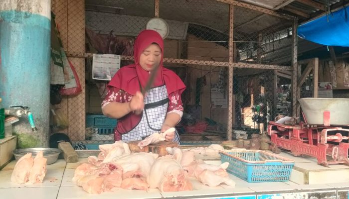 Munggahan Puasa 2025, Harga Ayam Broiler di Pangandaran Melonjak