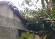Terdampak Angin Kencang, 54 Rumah di Pangandaran Alami Kerusakan