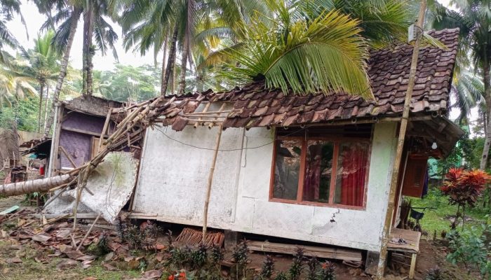 Apes! Rumah Milik Lansia di Cimerak Pangandaran Tertimpa Pohon Kelapa